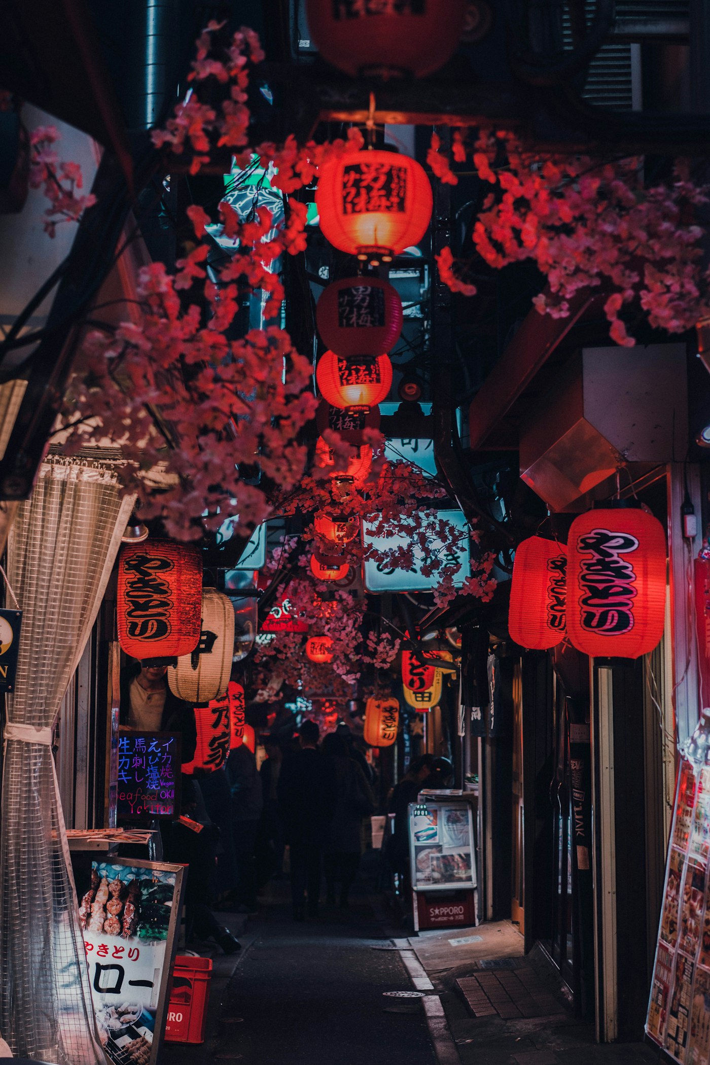 提灯の路地